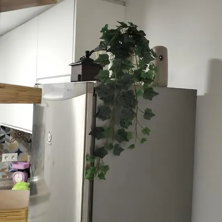 Barbarela Loft * Málaga